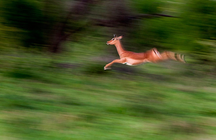 Тайм-менеджмент: как правильно планировать свое время, чтобы успевать все